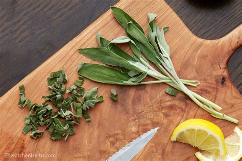 How to Use Sage in Cooking - The Kitchen Herbs