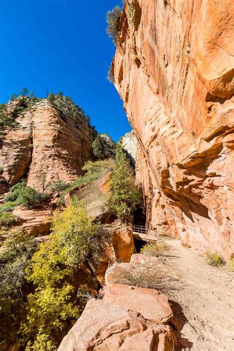 Observation Point in Zion National Park| Get Inspired Everyday!