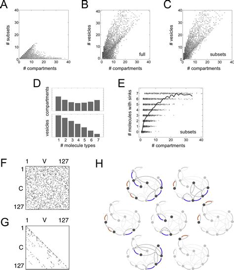 Figures and data in Stacking the odds for Golgi cisternal maturation | eLife