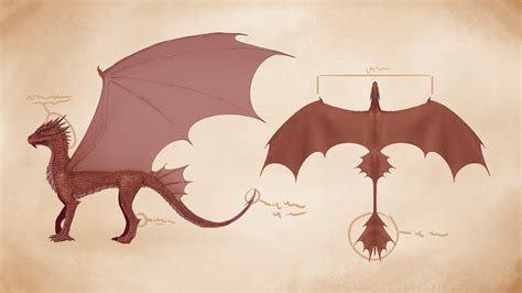 Dragon anatomy by RoseredTiger on Newgrounds