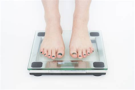 Free photo: Diet, Fat, Health, Weight, Healthy - Free Image on Pixabay - 398613