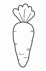 Carrot Coloring Book  Printable Pages Free sketch template