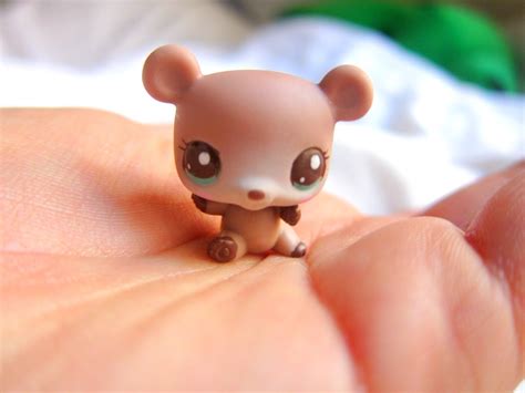 littlest pet shop baby bear | Lps pets, Lps baby, Cute toys