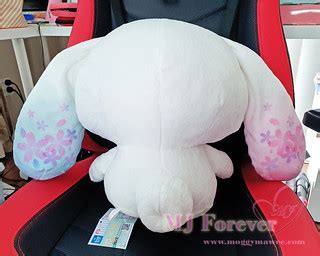 "Food Mascot" Cinnamoroll Plushie 2021 | This is a surprisin… | Flickr