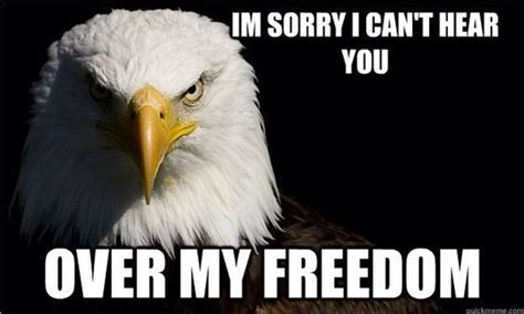 It's American Eagle Day So Feel Free To Enjoy These Majestic Memes ...