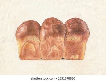 Realistic Colour Pencil Drawing Bread Stock Illustration 1551598820 ...