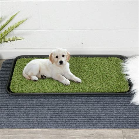 Ottomanson Indoor/Outdoor Grass Pee Pad Potty, Pet Puppy and Dog ...