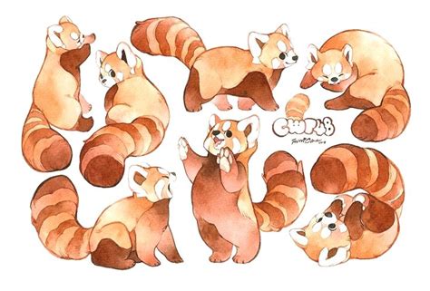 Check Out ⚡ Most Heart-Melting Animal: Cute Red Panda Raise Their Claws to Surrender! | Arte de ...