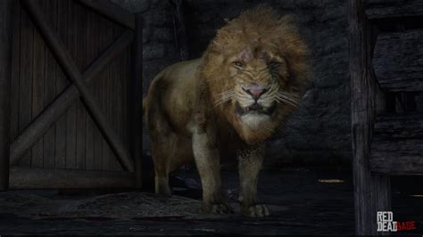 Lion | RDR2 Animals | Map Location & Where To Find