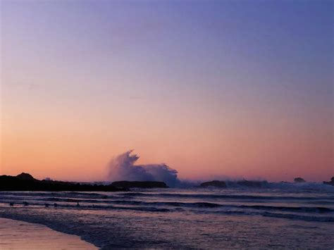 Oregon Coast Beach Sunset Photograph by Rose Tersigni - Fine Art America