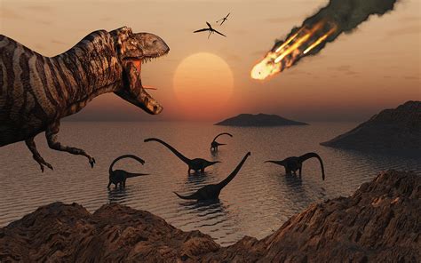 Dinosaur Extinction | Earth Blog