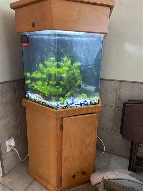 70 Gallon Fish Aquarium for Sale in Lakeside, CA - OfferUp