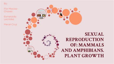 SEXUAL REPRODUCTION OF: PLANTS, MAMMALS, AND AMPHIBIANS by flor macias-chavez on Prezi