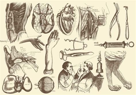 Sepia Anatomy And Health Care Illustrations 130095 Vector Art at Vecteezy