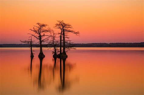 Reelfoot Lake Fishing, Size, Depth, And More - A-Z Animals