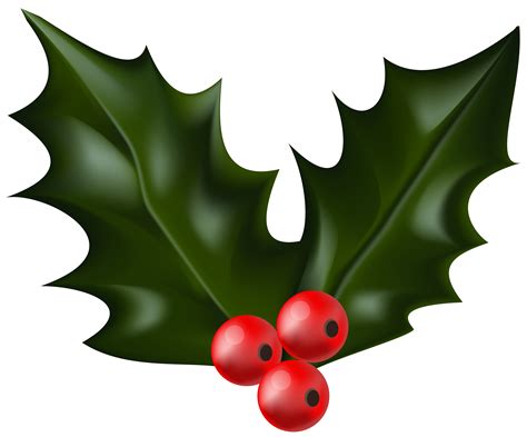 Christmas holly mistletoe clip art - Cliparting.com