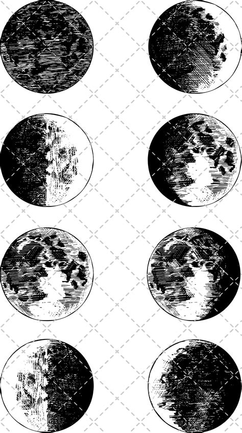 moon phases clipart black and white 10 free Cliparts | Download images ...