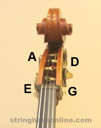 String Bass Online - Changing Strings