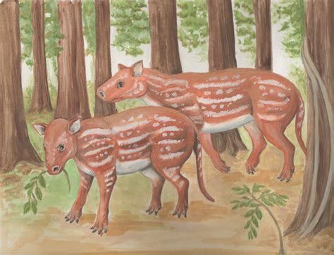 A portly hoofed animal about the size of a wild pig just might help solve a 55-million-year-old ...