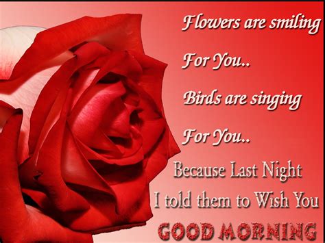 Sweet Red Rose for Good Morning Wallpaper, Ecards | Festival Chaska