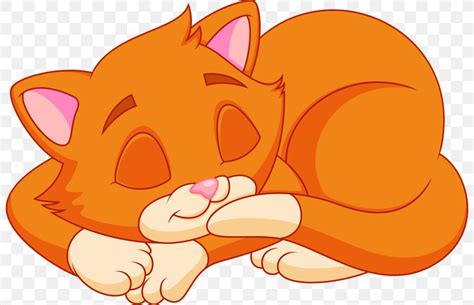 Cat Kitten Cartoon Clip Art, PNG, 800x528px, Cat, Carnivoran, Cartoon ...