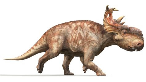 Pachyrhinosaurus Walking With Dinosaurs