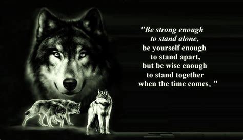 Wolf Quotes Wallpapers - Top Free Wolf Quotes Backgrounds - WallpaperAccess