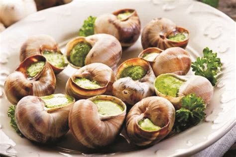 Edible Snails: Where to Buy, How to Grow and Cook These Dishes