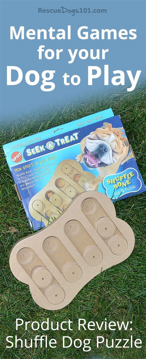 Keep Your Dog's Mind Active with this Interactive Puzzle