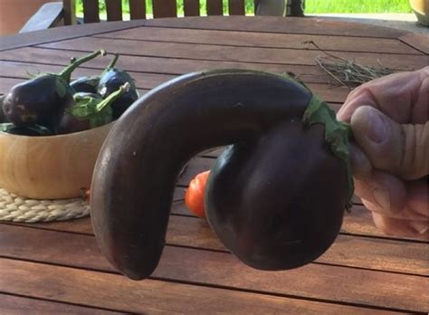 Is That An Eggplant You're Auctioning, Or Are You Just Glad To See Me? | HuffPost Weird News