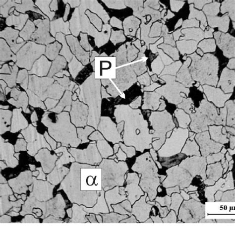 Light optical micrograph of the ferrite-pearlite microstructure of this... | Download Scientific ...