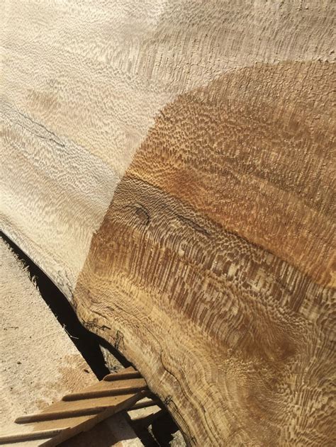 American Sycamore Lumber | Sycamore wood, Beautiful wood, Log cabin interior ideas
