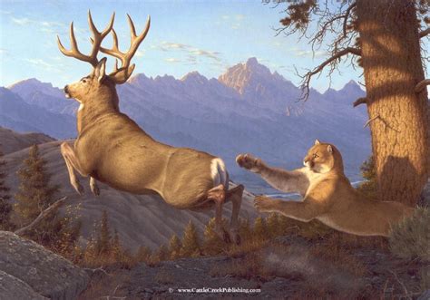 mansanarez Narrow Escape Tom Mansanarez wildlife art