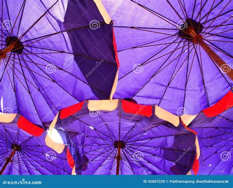 Purple umbrella stock photo. Image of sand, holiday, trip - 42607220