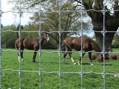 Horse Netting - Wire & Stock Fencing | Agricultural | Ashford Kent