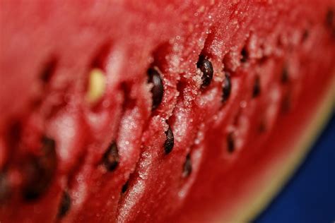 Closeup of a watermelon - PixaHive