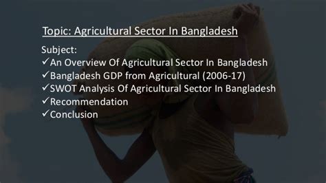 Agricultural sector in bangladesh