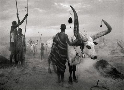 5 Lessons Sebastião Salgado Has Taught Me About Street Photography ...