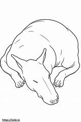 Bull Terrier Sleeping coloring Page sketch template