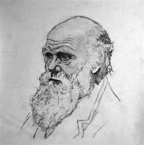 Charles Darwin sketch (conte crayon) by dustinadamsmith on DeviantArt