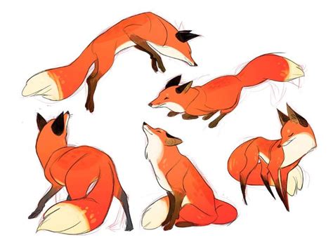 how to draw fox reference - Google Search | Animal drawings, Fox drawing, Animal sketches