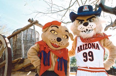 Arizona's Wilbur and Wilma Wildcat. Cute couple. | Arizona wildcats, Arizona, University of arizona