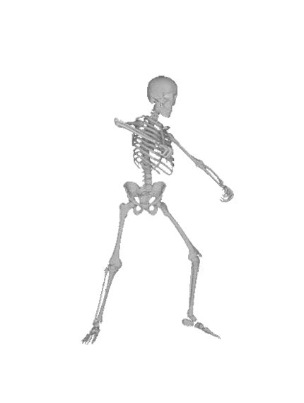 Skeleton Party - Express yourself through the medium of dancing ...