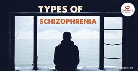 "Types of Schizophrenia | Treatment for Schizophrenia"