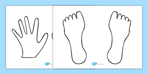 👉 Hand And Feet Coloring Sheet Templates - My Body Primary Resources