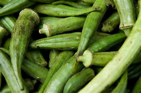 Benefits of Okra to your natural hair — Steemit