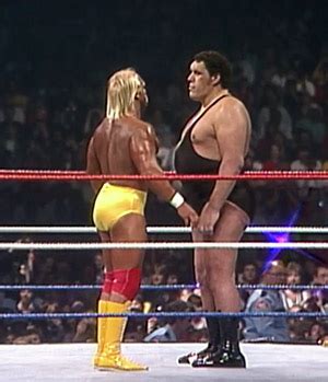 Andre the Giant Death - Wrestler Deaths