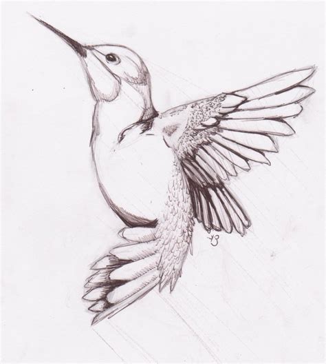 Pencil Sketch Pictures Of Birds at PaintingValley.com | Explore collection of Pencil Sketch ...