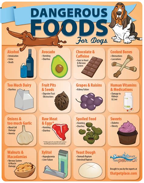 Dangerous Foods For Dogs, Foods Dogs Can Eat, Dog Care Tips, Pet Care ...