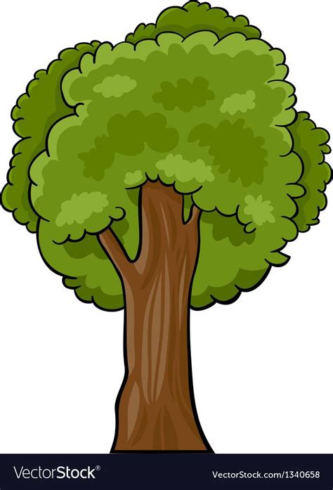 Cartoon of deciduous tree vector image on VectorStock | Tree cartoon images, Tree textures, Tree ...